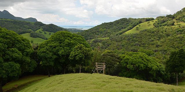 Day package ferney nature lodge (7)